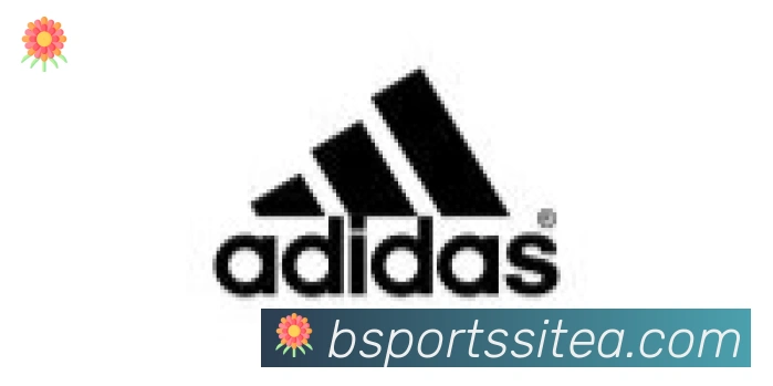 BSPORTS合作伙伴