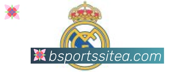 BSPORTS合作伙伴