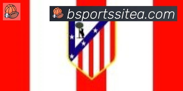 BSPORTS合作伙伴